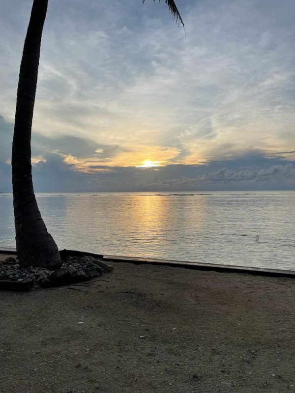 Curacion Guided Nature Sunset Walk