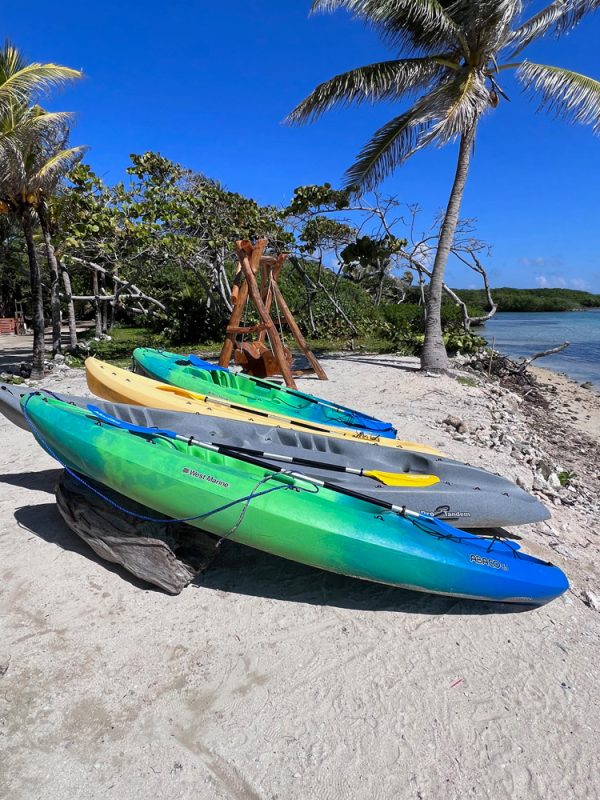 Kayak and Paddle Board Rental per Hour