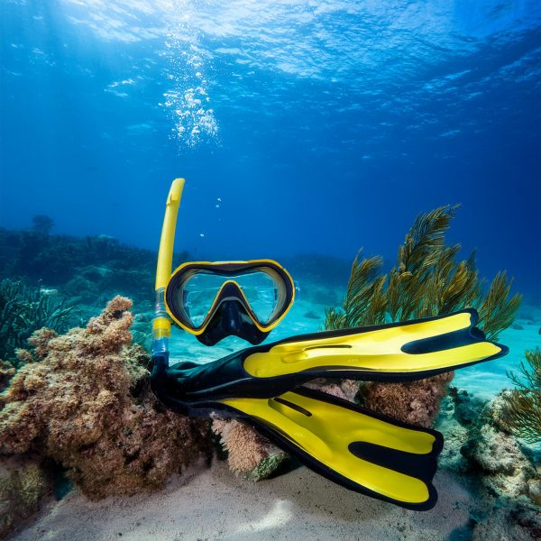 Snorkeling Gear (Mask, Fins, Snorkel) per hour